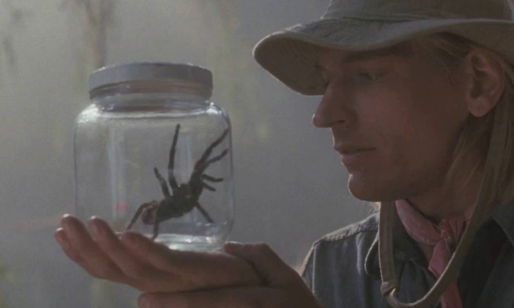The general spider in Arachnophobia